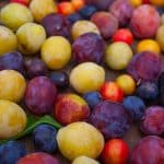 Plums