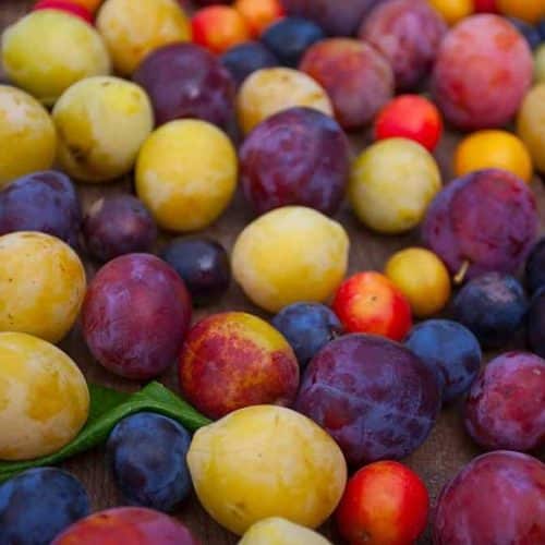 Plums