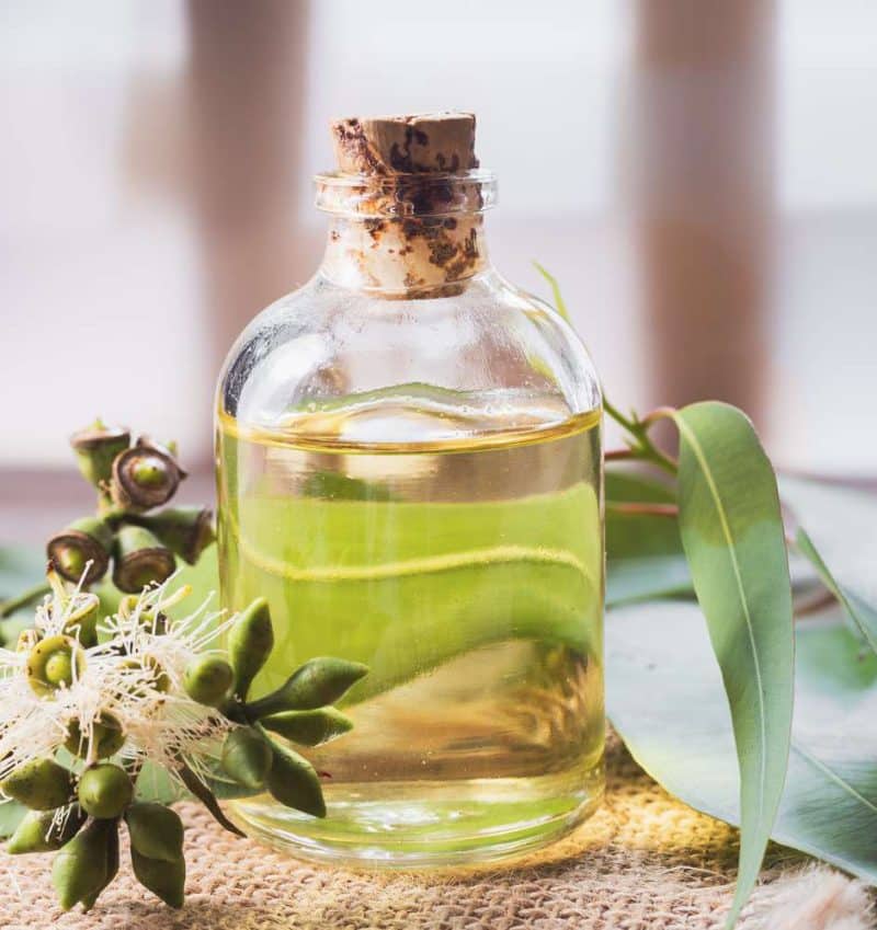 Moisturizing Oil